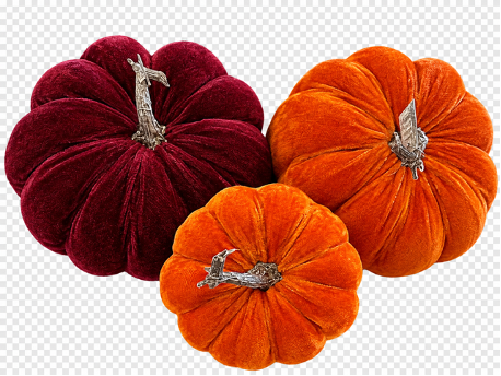 Autumn Season Floristry : Wholesale Flowers, Artificial Flowers & Florist Supplies