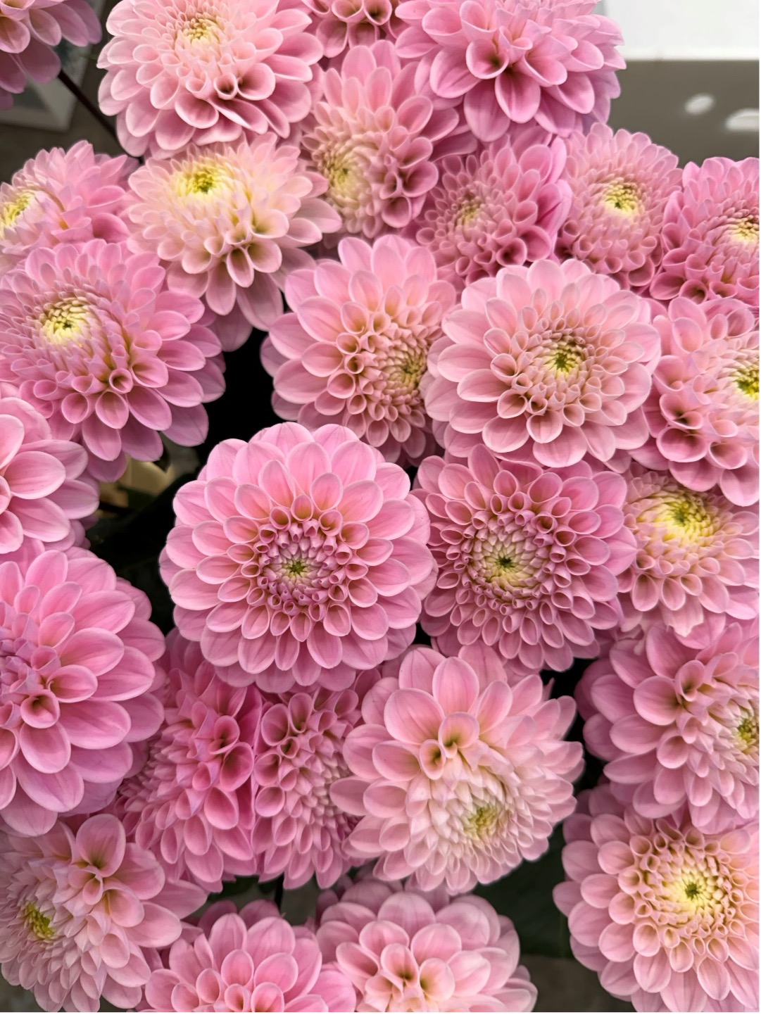 Wedding Flowers You’ll Love